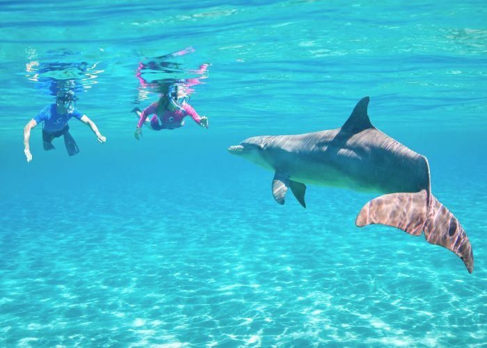Bellissima Foto Di Due Persone Con Un Delfino Sott Acqua