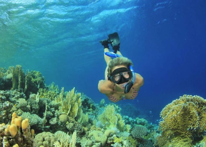 Bellissima Foto Di Un Turista Durante Un Escursione Di Snorkeling