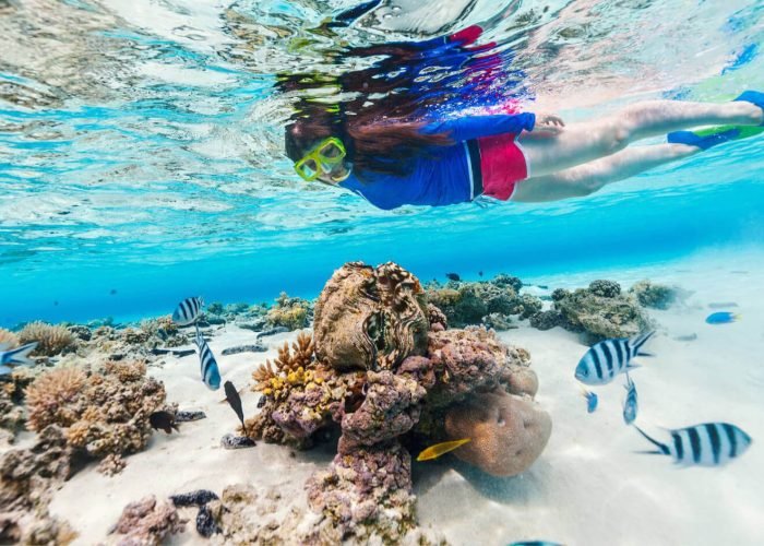 Bellissima Foto Di Una Donna Durante Un Immersione