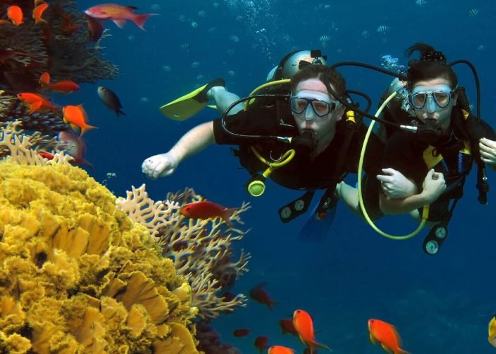 Mmersione Da Sharm El Sheikh Al Parco Naturale Di Ras Mohammed
