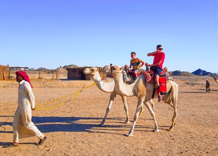 Una Meravigliosa Foto Del Safari Con I Cammelli A Hurghada